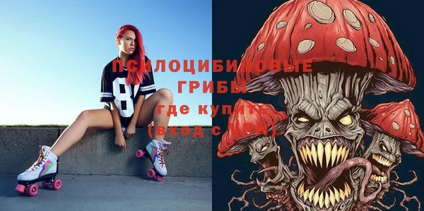 бошки Алексеевка