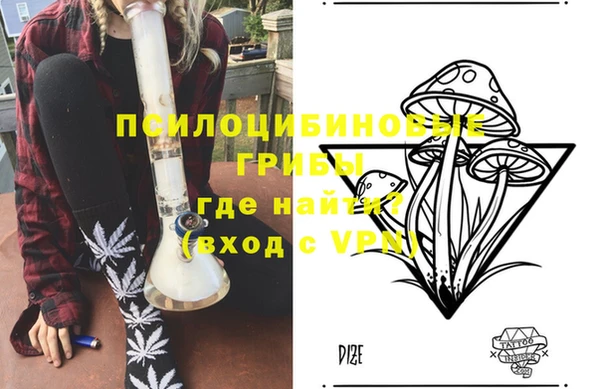 СК Алзамай